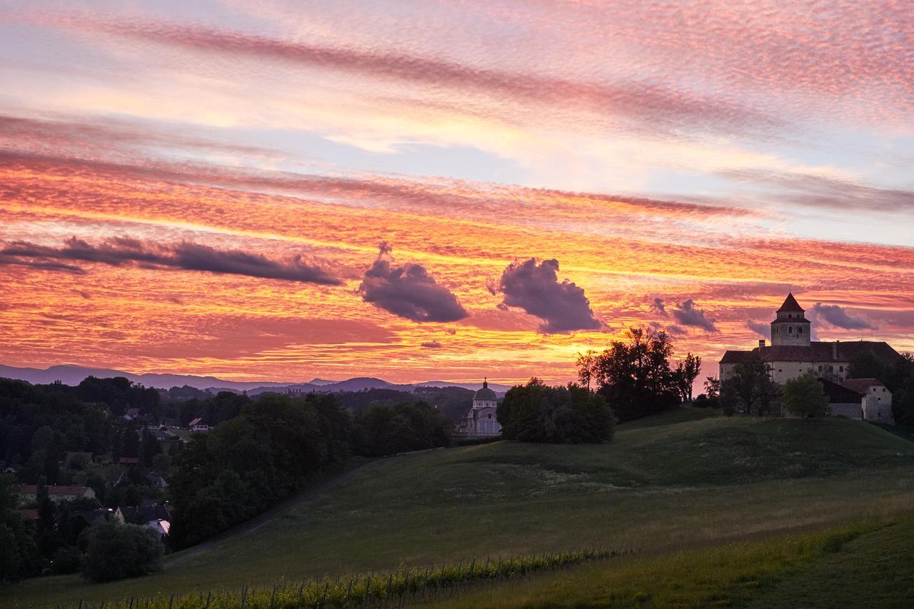 Loisium Wine & Spa Hotel Suedsteiermark Эренхаузен Экстерьер фото