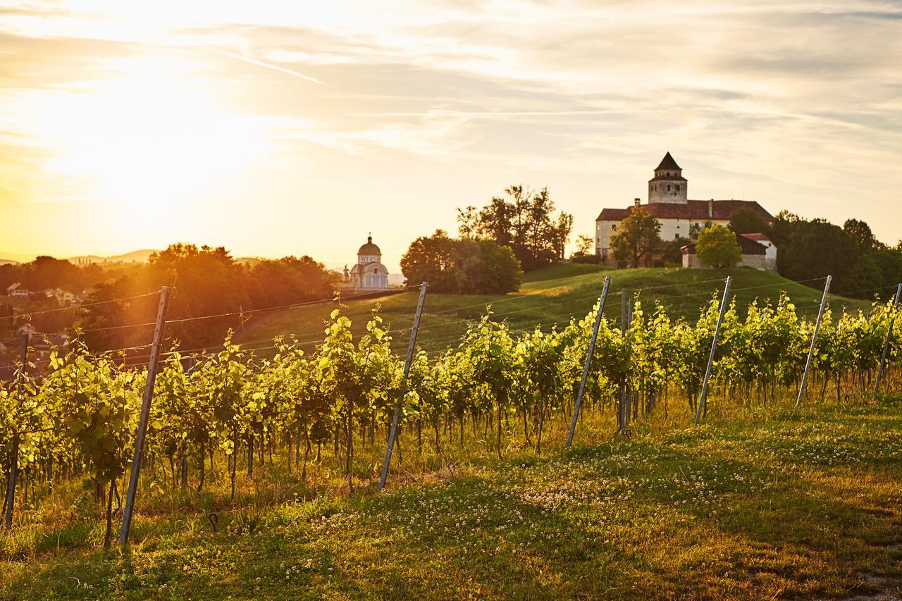 Loisium Wine & Spa Hotel Suedsteiermark Эренхаузен Экстерьер фото